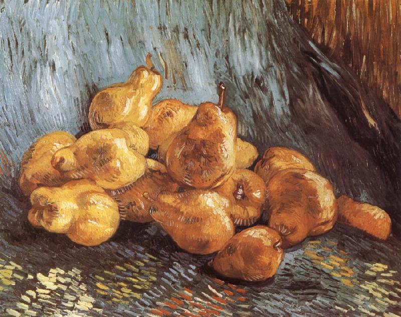 Vincent Van Gogh Still life tiwh Pears (nn04) France oil painting art